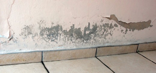 Elimina de una vez las humedades de tu hogar
