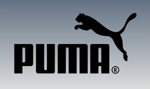 Contratista Querer gramática Cómo el marketing puede hacer resurgir una marca: caso práctico de Puma |  Es-Commerce